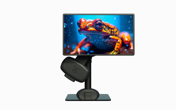 Healthy Computer Desk Monitor Mount For Neck Pain