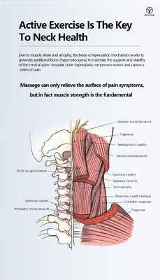 Cervical Spine Stiffness Computer Screen Stand Rotating Ergonomics
