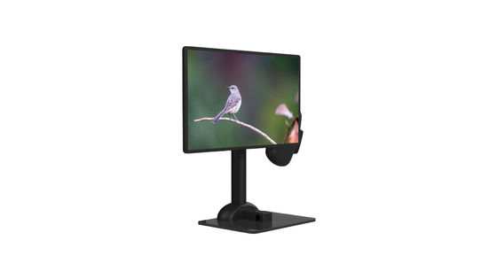 Professional LCD Monitor Stand Rotating Automatic For Spine Rigidity