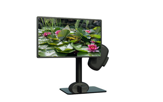 Electric Lifting  PC Monitor  Mount Stand  To Relieve Neck  Tingle Pain