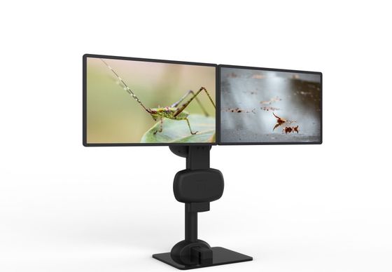 Electric Lifting Rotating Dual Monitor  Mount Arm  For Relieve Neck And Back Pain
