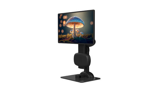 Sustainable Laptop Arm Stand Move Unconsciously For Neck Stiffness