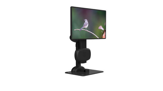 Ergonomics LCD Stand Monitor Swivel To Relieve Neck Stiffness