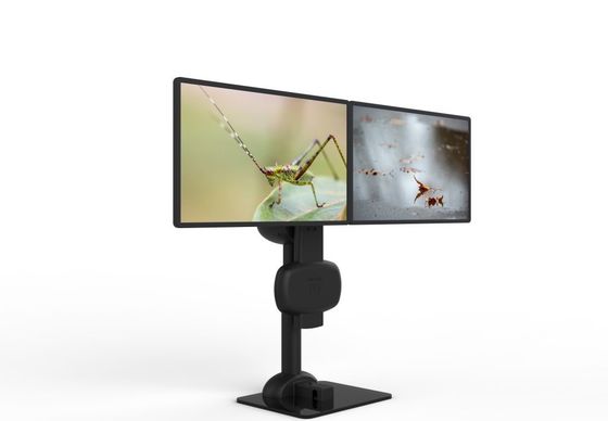 Automatic Lifting Rotating Dual Monitor  Mount  For Relieve Neck And Back Pain